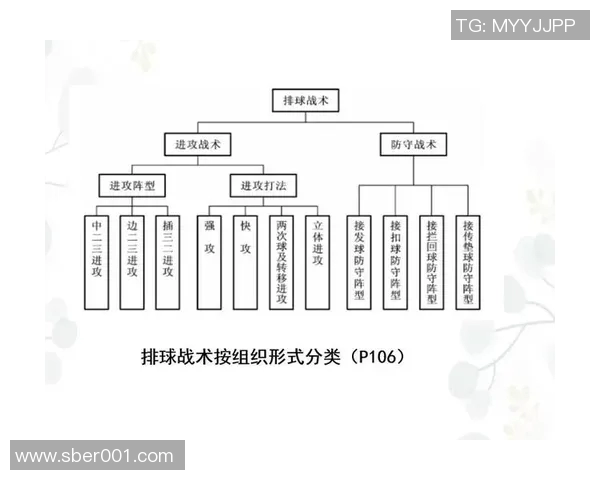 上海排球队中路突破分析与战术创新探讨